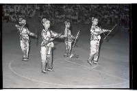 登錄號:KH2002.007.0188藏品圖，第29張