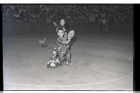 登錄號:KH2002.007.0188藏品圖，第36張