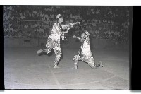 登錄號:KH2002.007.0188藏品圖，第54張