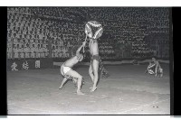 登錄號:KH2002.007.0192藏品圖，第15張