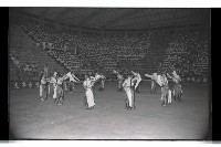 登錄號:KH2002.007.0192藏品圖，第29張