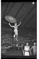 登錄號:KH2002.007.0194藏品圖，第2張