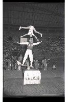 登錄號:KH2002.007.0194藏品圖，第9張