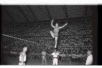 登錄號:KH2002.007.0194藏品圖，第15張