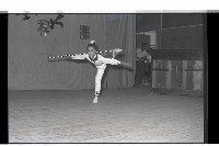 登錄號:KH2002.007.0198藏品圖，第14張