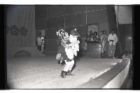 登錄號:KH2002.007.0201藏品圖，第11張