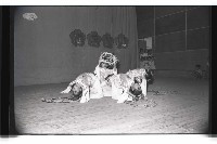 登錄號:KH2002.007.0201藏品圖，第31張