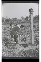 登錄號:KH2002.007.0219藏品圖，第4張