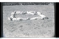 登錄號:KH2002.007.0221藏品圖，第25張