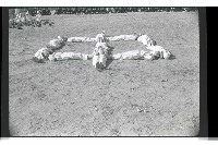 登錄號:KH2002.007.0221藏品圖，第26張