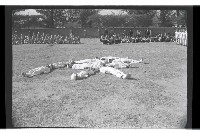 登錄號:KH2002.007.0221藏品圖，第28張