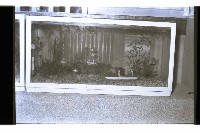 登錄號:KH2002.007.0233藏品圖，第8張