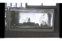 登錄號:KH2002.007.0233藏品圖，第9張