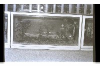 登錄號:KH2002.007.0233藏品圖，第11張