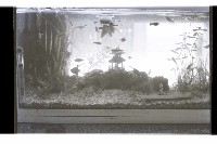 登錄號:KH2002.007.0233藏品圖，第17張