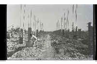 登錄號:KH2002.007.0234藏品圖，第2張