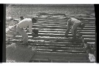 登錄號:KH2002.007.0234藏品圖，第6張