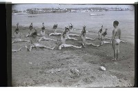 登錄號:KH2002.007.0255藏品圖，第17張