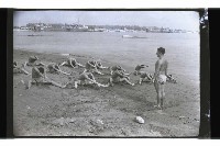 登錄號:KH2002.007.0255藏品圖，第18張