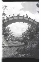 登錄號:KH2002.007.0256藏品圖，第17張