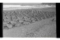 登錄號:KH2002.007.0258藏品圖，第2張