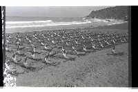 登錄號:KH2002.007.0258藏品圖，第3張