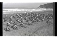 登錄號:KH2002.007.0258藏品圖，第19張