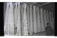 登錄號:KH2002.007.0260藏品圖，第30張