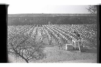 登錄號:KH2002.007.0266藏品圖，第11張