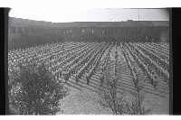 登錄號:KH2002.007.0266藏品圖，第13張