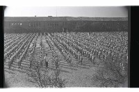 登錄號:KH2002.007.0266藏品圖，第14張