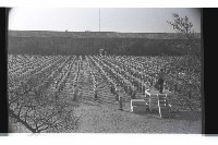 登錄號:KH2002.007.0266藏品圖，第16張