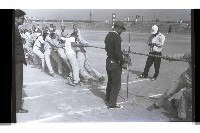 登錄號:KH2002.007.0273藏品圖，第45張