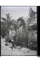 登錄號:KH2002.007.0281藏品圖，第7張