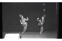 登錄號:KH2002.007.0289藏品圖，第12張