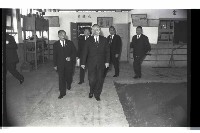 登錄號:KH2002.007.0306藏品圖，第13張