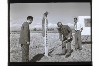 登錄號:KH2002.007.0322藏品圖，第16張