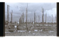 登錄號:KH2002.007.0324藏品圖，第1張