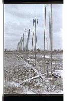 登錄號:KH2002.007.0324藏品圖，第6張