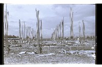 登錄號:KH2002.007.0324藏品圖，第10張