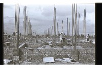 登錄號:KH2002.007.0324藏品圖，第11張