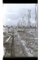 登錄號:KH2002.007.0324藏品圖，第13張