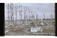 登錄號:KH2002.007.0324藏品圖，第15張