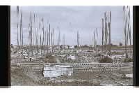 登錄號:KH2002.007.0324藏品圖，第16張