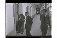 登錄號:KH2002.007.0335藏品圖，第5張