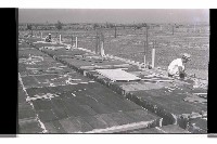 登錄號:KH2002.007.0336藏品圖，第5張