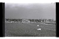 登錄號:KH2002.007.0336藏品圖，第12張