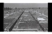 登錄號:KH2002.007.0336藏品圖，第20張