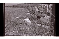 登錄號:KH2002.007.0377藏品圖，第8張