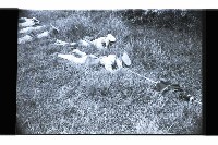 登錄號:KH2002.007.0384藏品圖，第1張